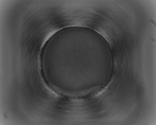 X0000093451120200710121348