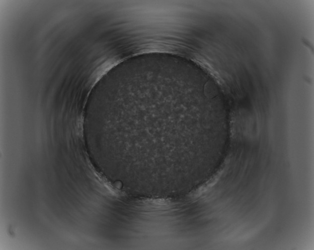 X0000093451121200710121348