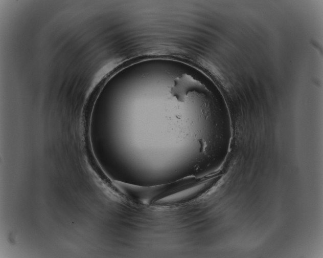 X0000093451122200710121348