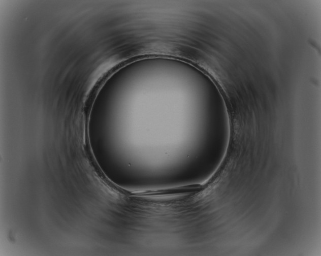 X0000093451123200710121348