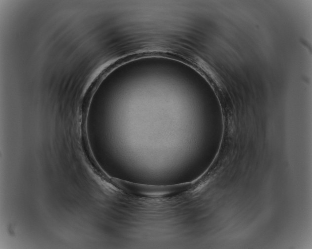 X0000093451124200710121348