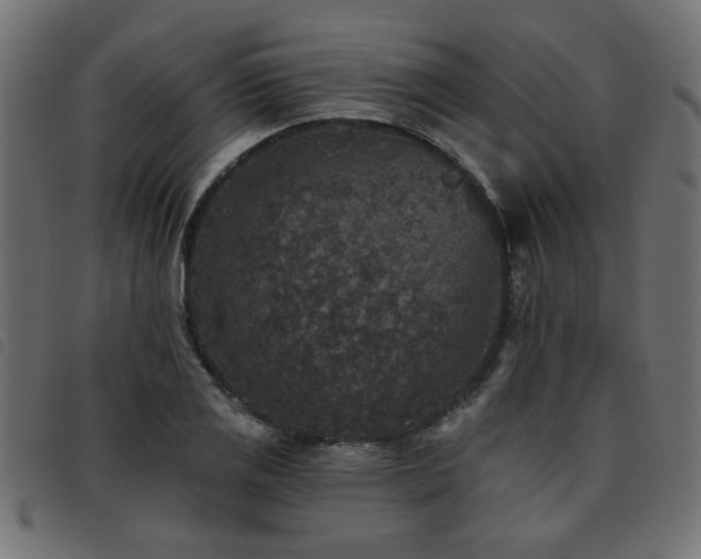 X0000093451125200710121348