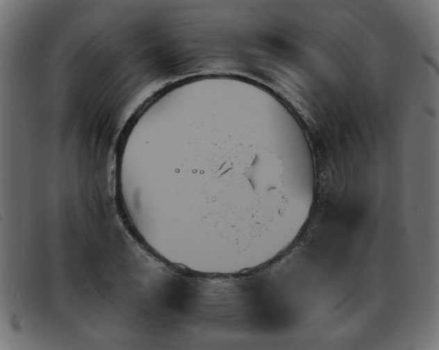 X0000093451126200710121348