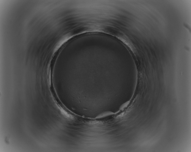 X0000093451127200710121348