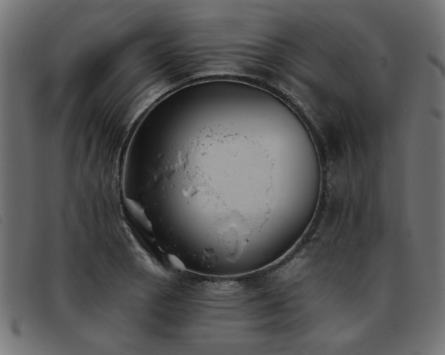 X0000093451129200710121348