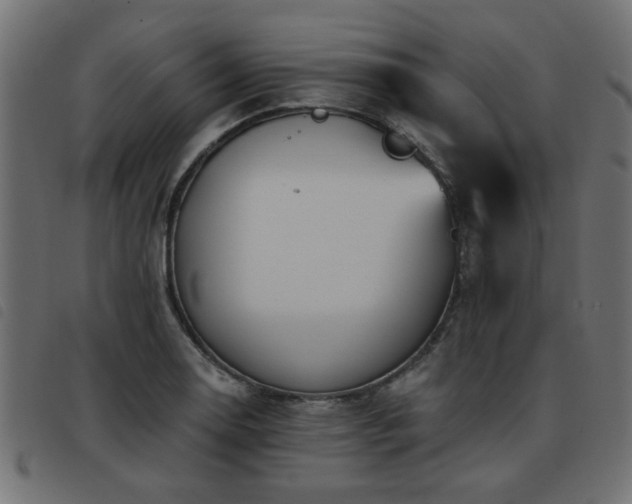 X0000093451130200710121348