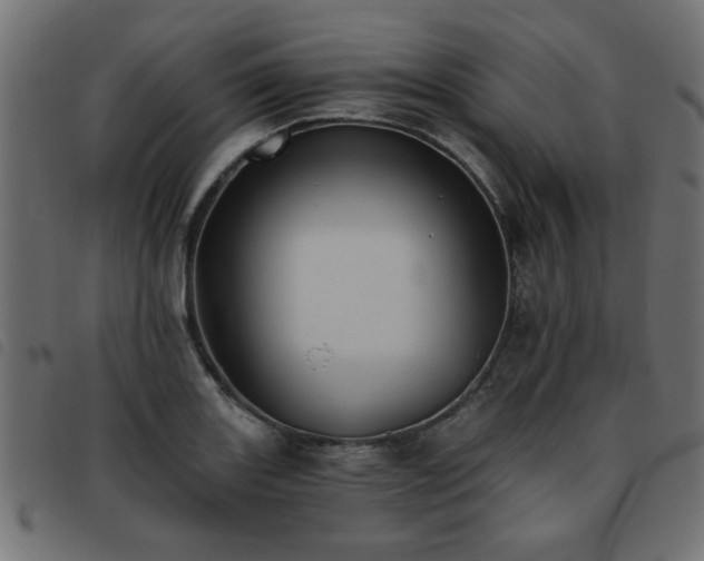 X0000093451131200710121348