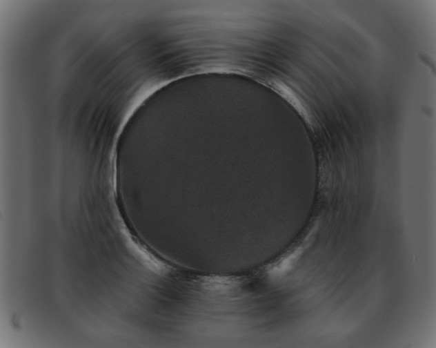 X0000093451132200710121348