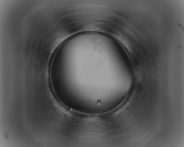 X0000093451133200710121348