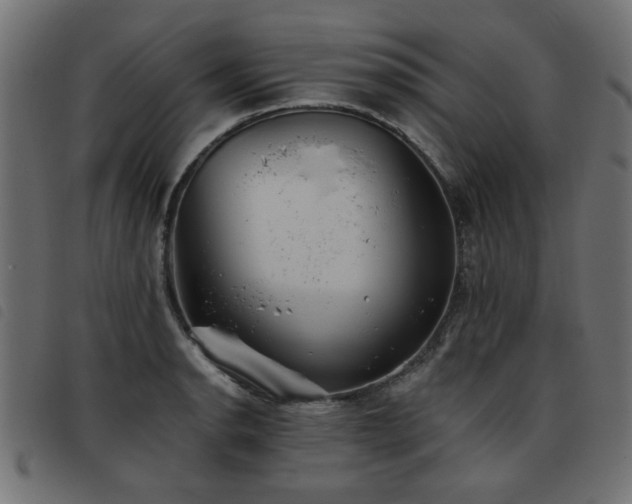 X0000093451134200710121348
