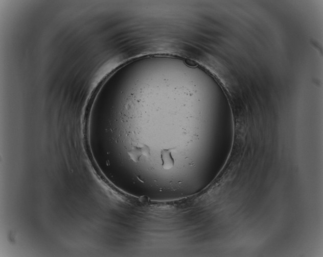 X0000093451135200710121348