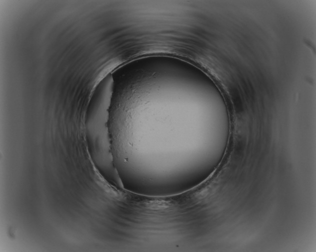 X0000093451137200710121348