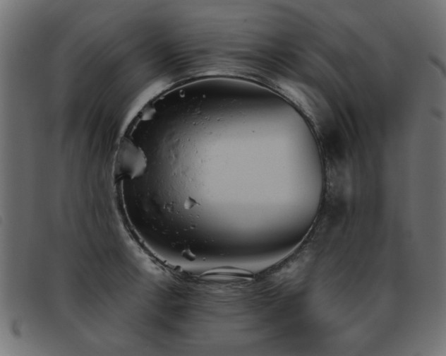 X0000093451138200710121348