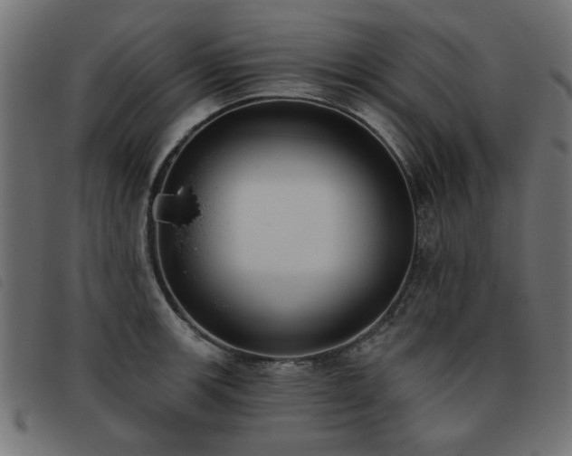 X0000093451139200710121348