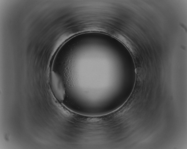 X0000093451140200710121348