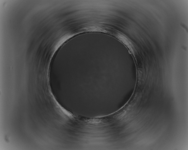 X0000093451141200710121348
