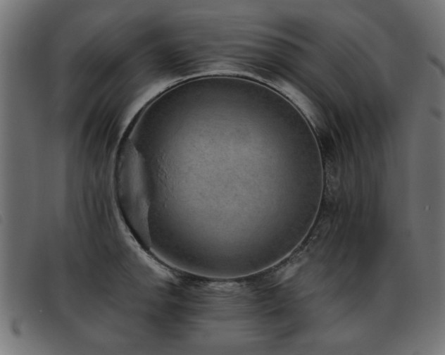 X0000093451142200710121348
