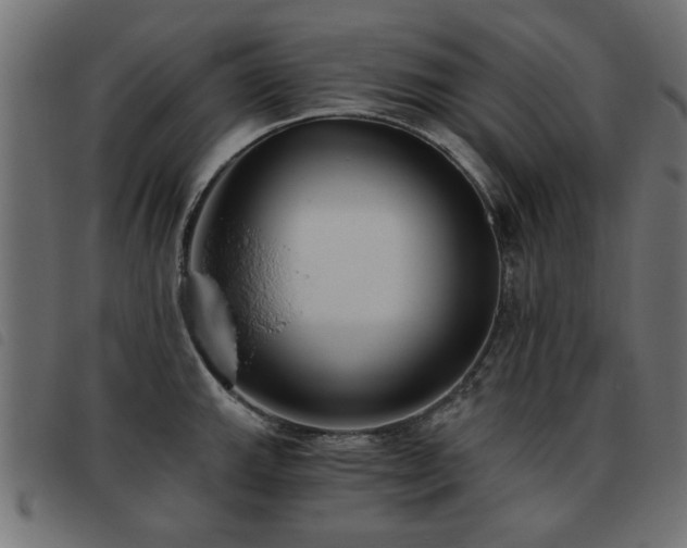 X0000093451143200710121348