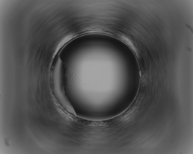 X0000093451146200710121349