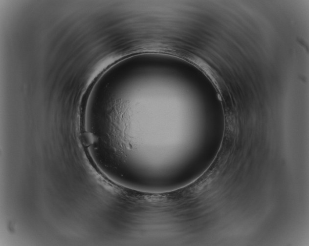 X0000093451147200710121349
