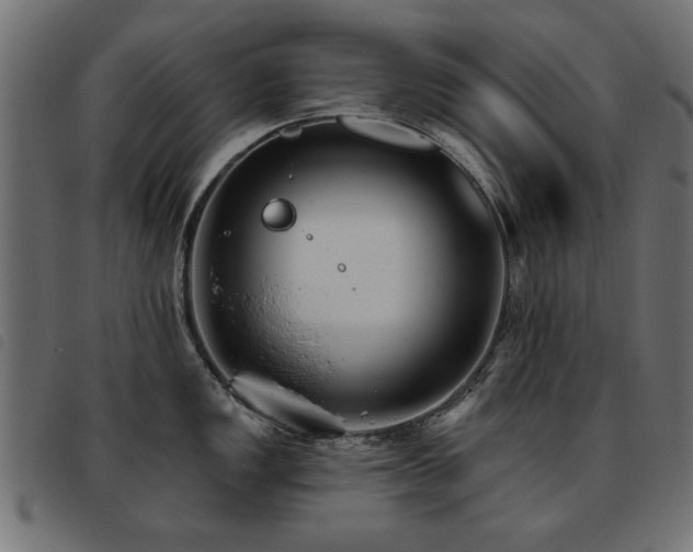X0000093451149200710121349