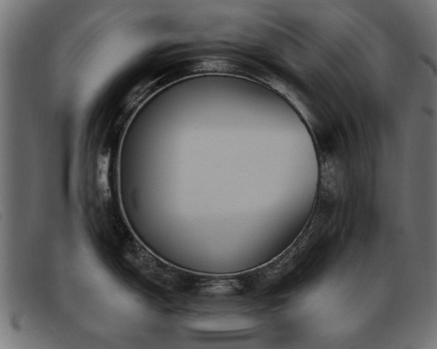 X0000093451150200710121349
