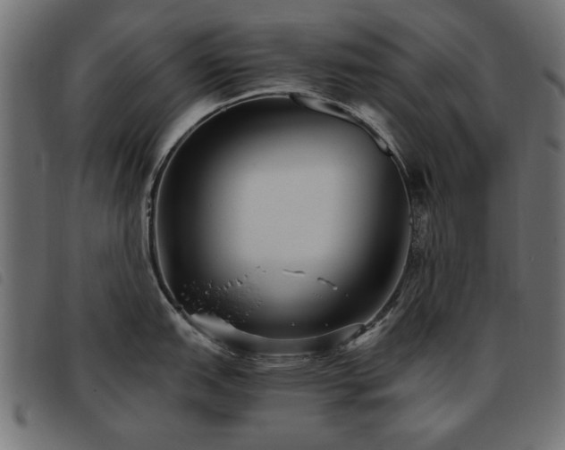 X0000093451151200710121349