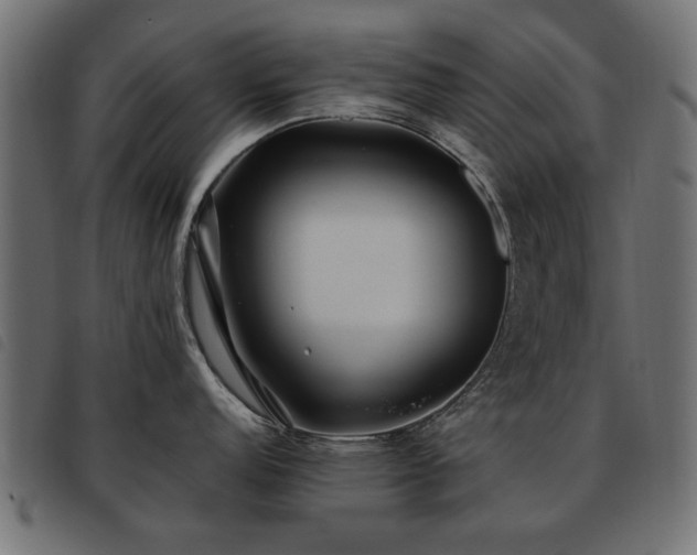 X0000093451152200710121349