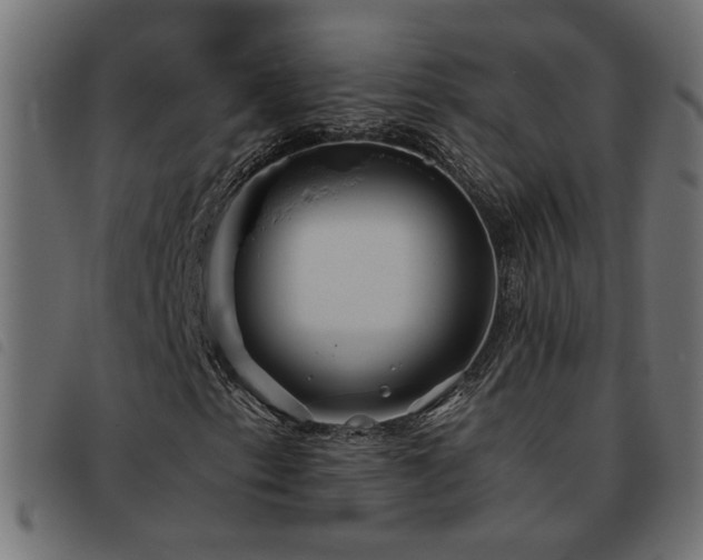 X0000093451153200710121348