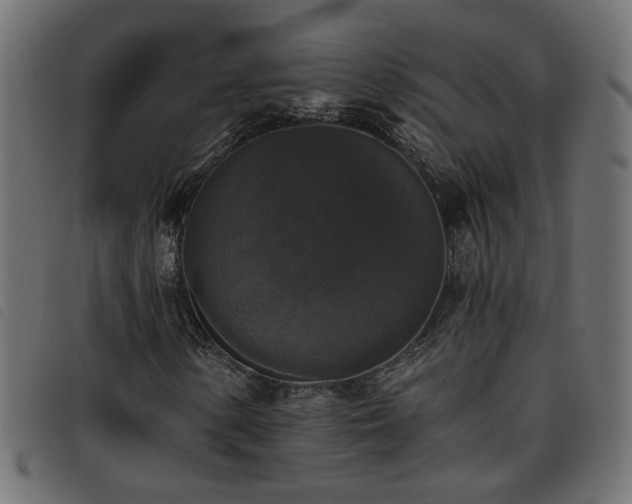 X0000093451154200710121348