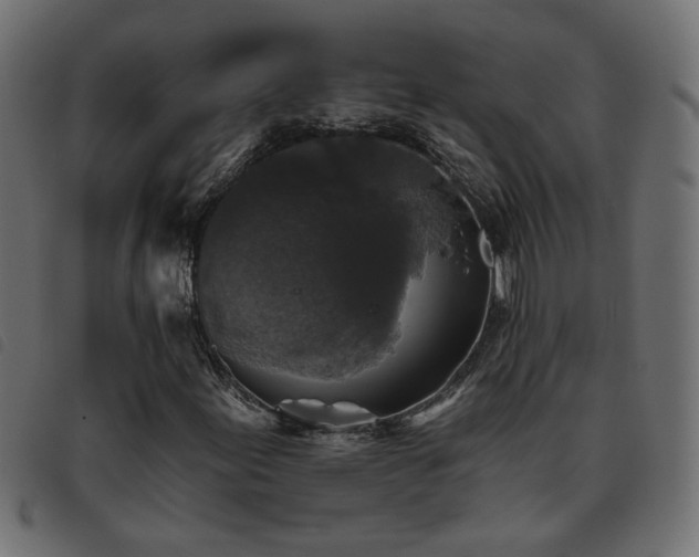 X0000093451155200710121348