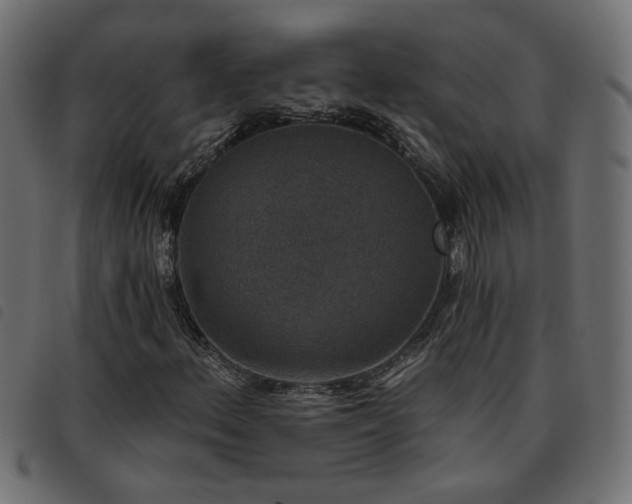 X0000093451156200710121348