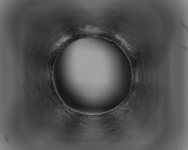 X0000093451157200710121348