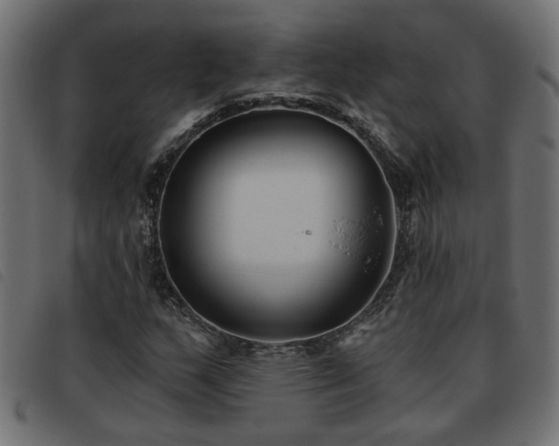 X0000093451159200710121348