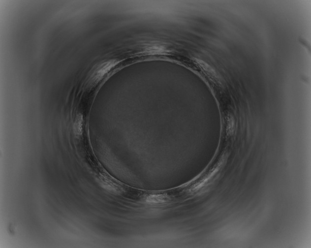 X0000093451161200710121348