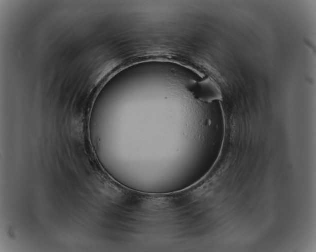 X0000093451162200710121348