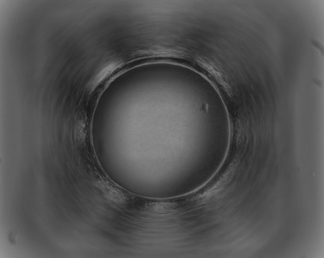 X0000093451163200710121348