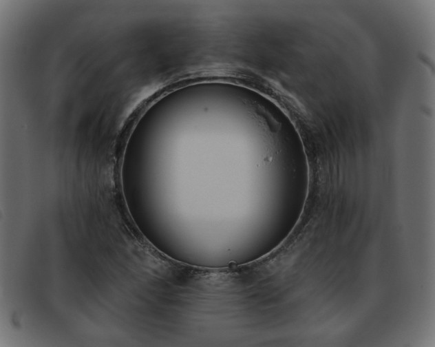 X0000093451166200710121348