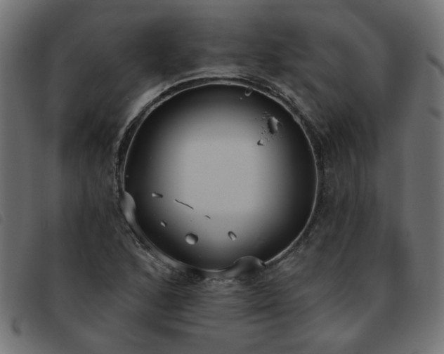 X0000093451168200710121348