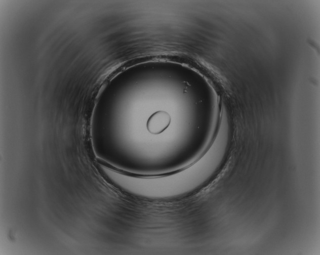 X0000093451169200710121348