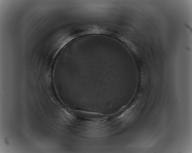 X0000093451170200710121348