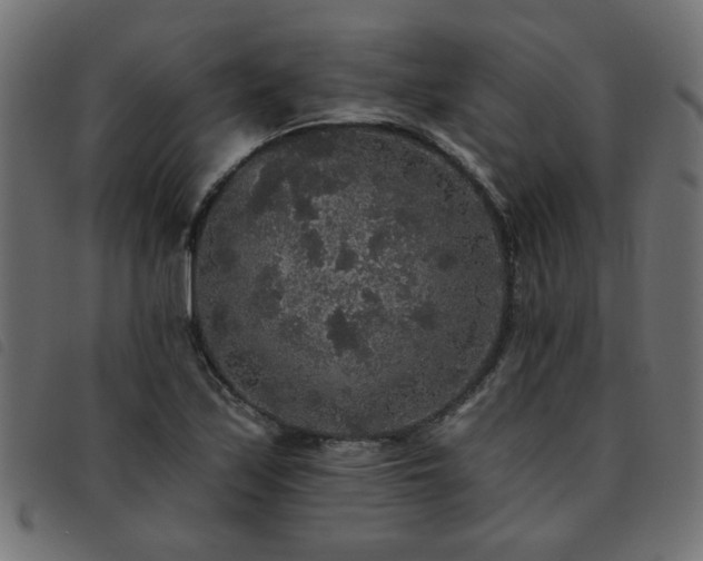 X0000093451171200710121348