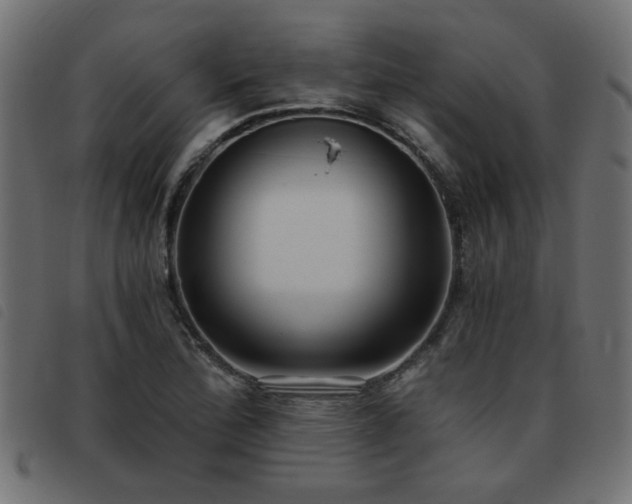 X0000093451172200710121348