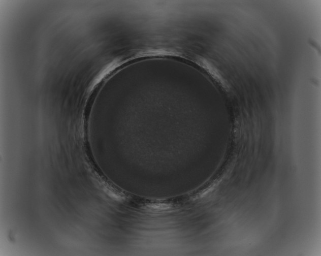 X0000093451173200710121348