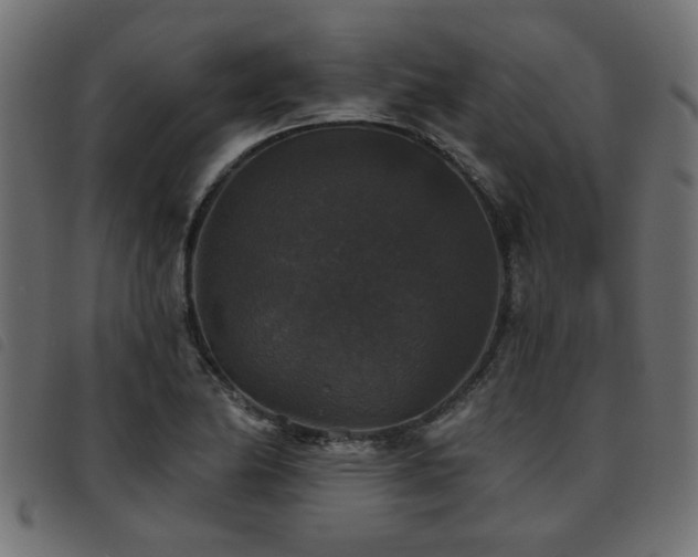 X0000093451174200710121348