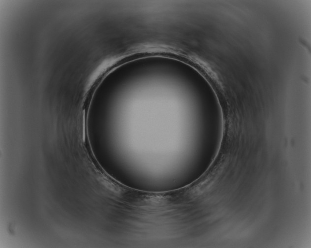 X0000093451175200710121348
