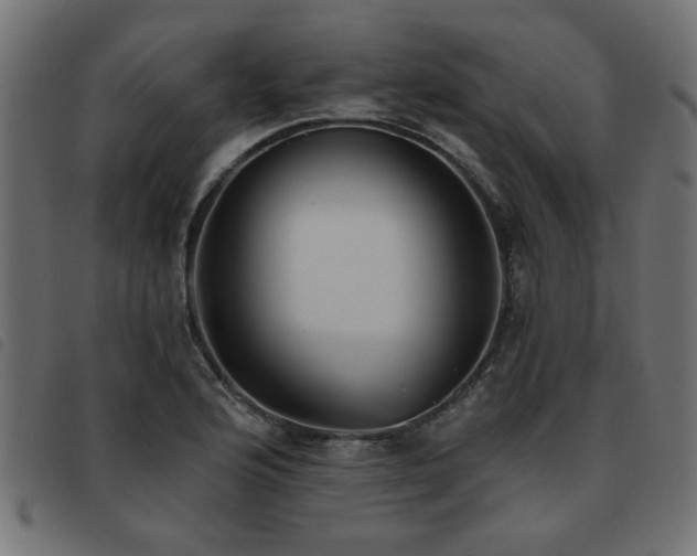 X0000093451176200710121348