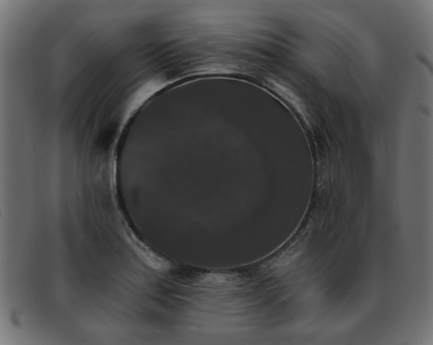 X0000093451179200710121348