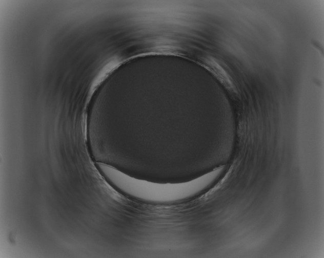 X0000093451180200710121348