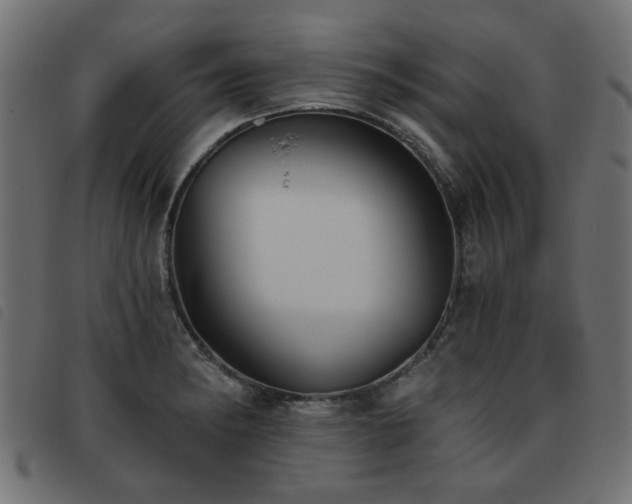 X0000093451182200710121348